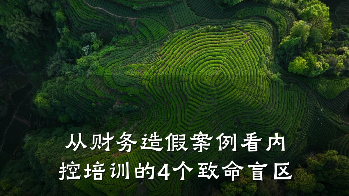 从财务造假案例看内控培训的4个致命盲区