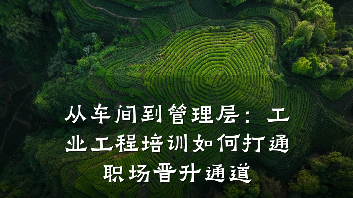 从车间到管理层:工业工程培训如何打通职场晋升通道