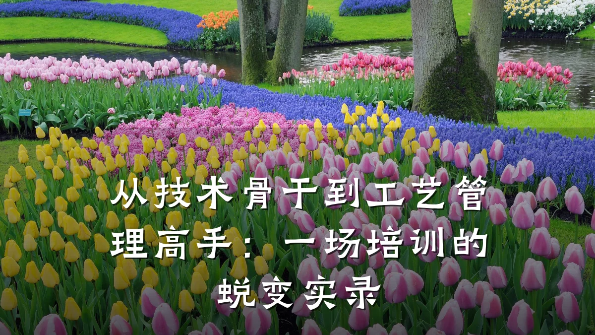 从技术骨干到工艺管理高手:一场培训的蜕变实录