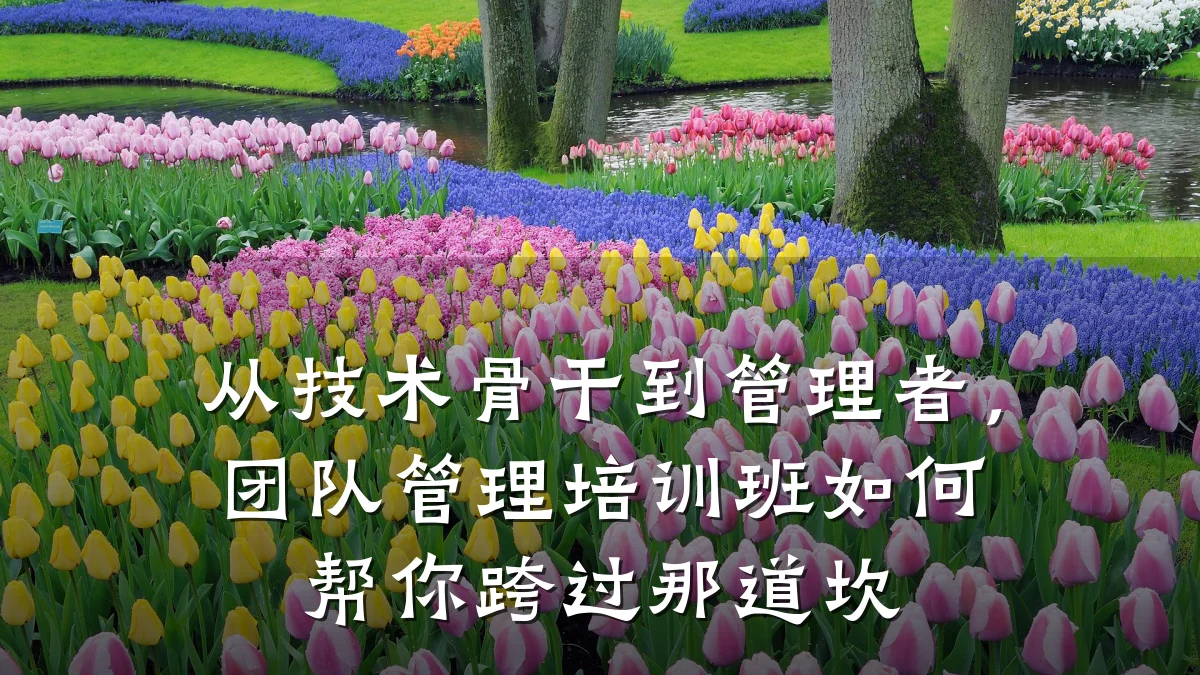 从技术骨干到管理者,团队管理培训班如何帮你跨过那道坎