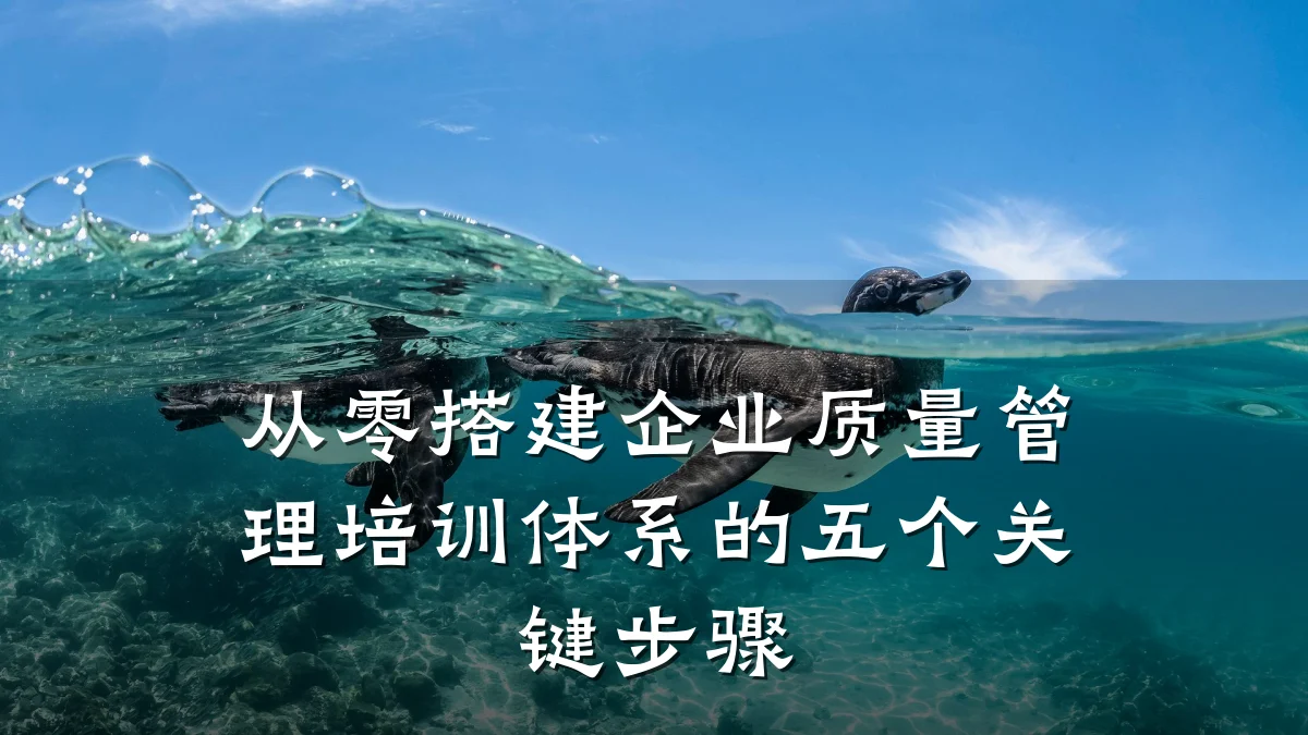 从零搭建企业质量管理培训体系的五个关键步骤