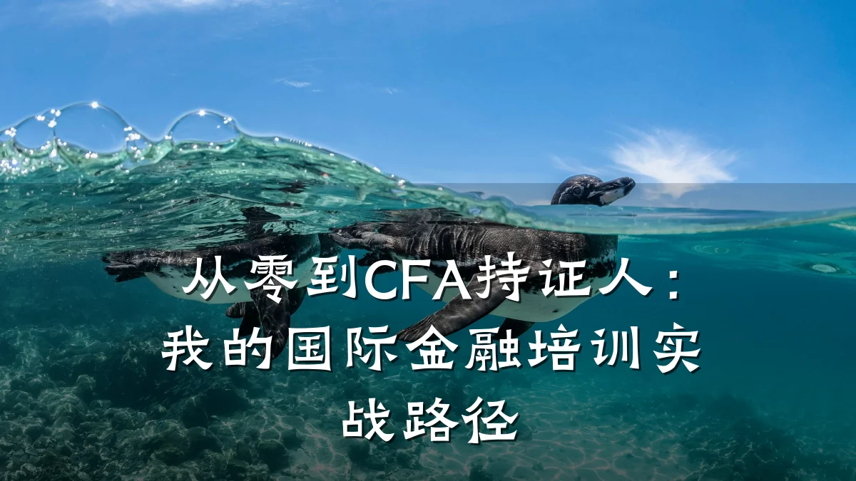 从零到CFA持证人:我的国际金融培训实战路径
