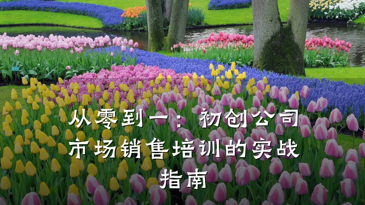 从零到一:初创公司市场销售培训的实战指南