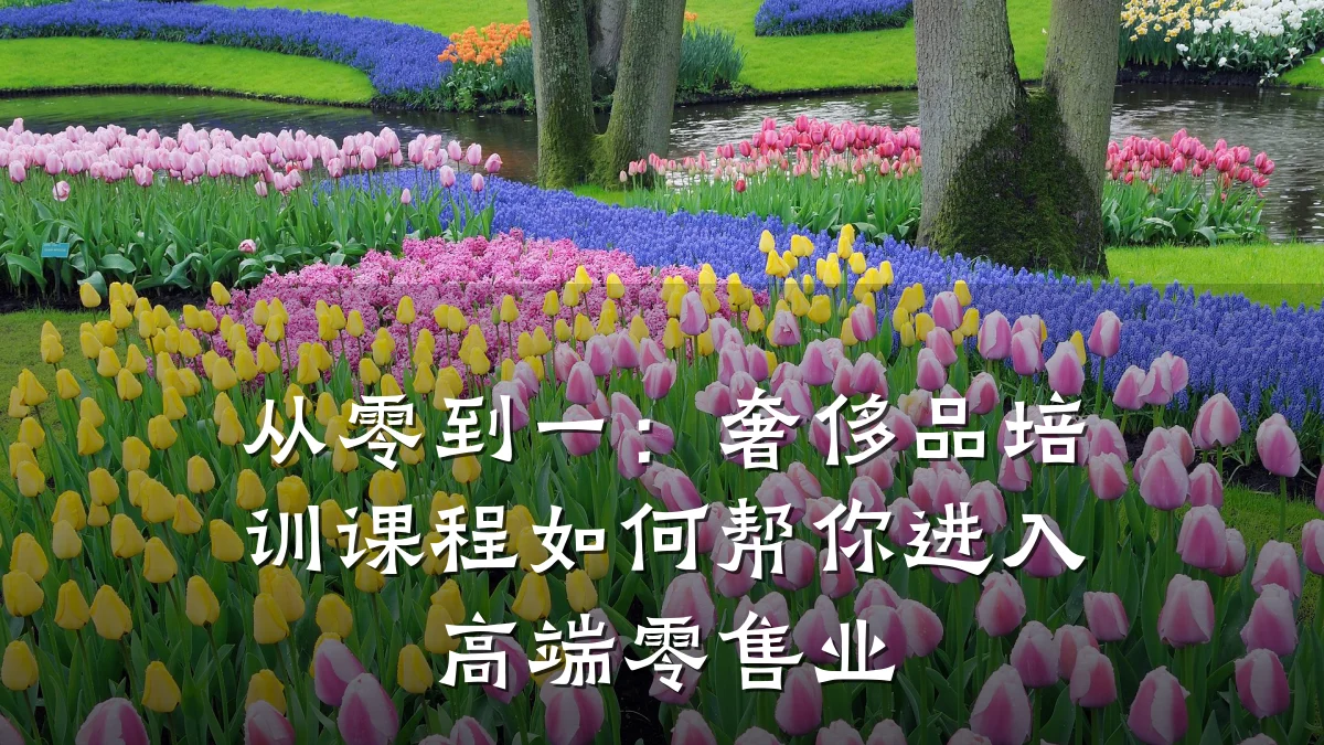 从零到一:奢侈品培训课程如何帮你进入高端零售业
