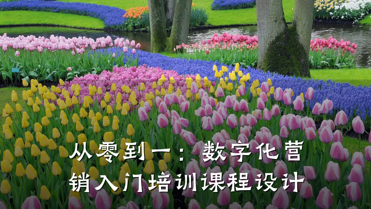 从零到一：数字化营销入门培训课程设计