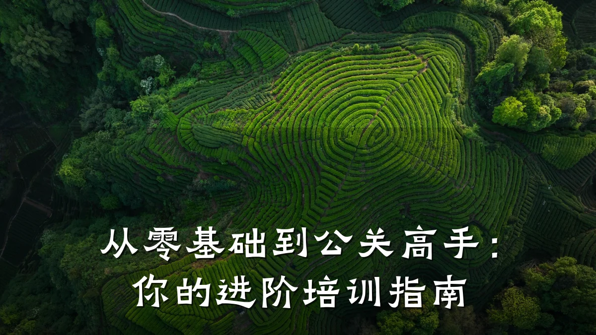 从零基础到公关高手:你的进阶培训指南