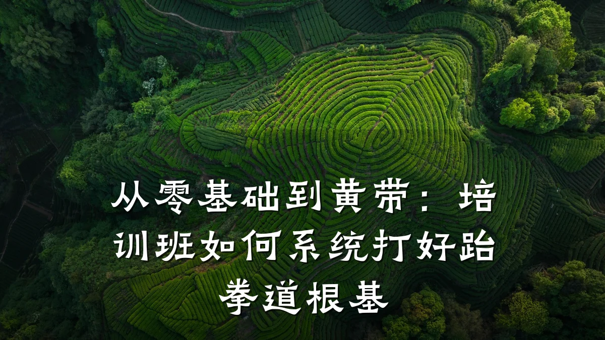 从零基础到黄带:培训班如何系统打好跆拳道根基