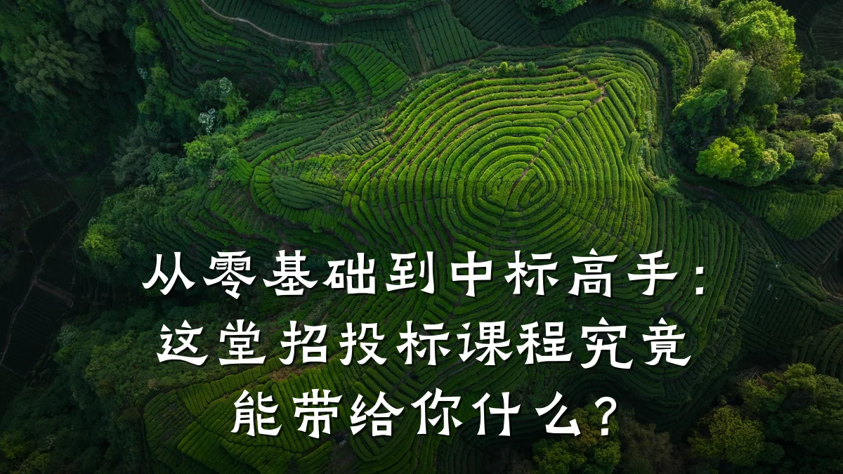 从零基础到中标高手:这堂招投标课程究竟能带给你什么?