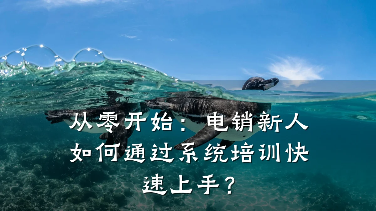从零开始:电销新人如何通过系统培训快速上手?