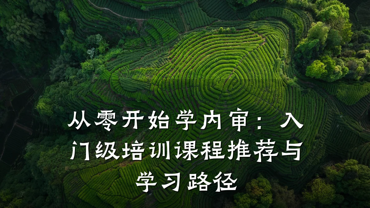 从零开始学内审:入门级培训课程推荐与学习路径