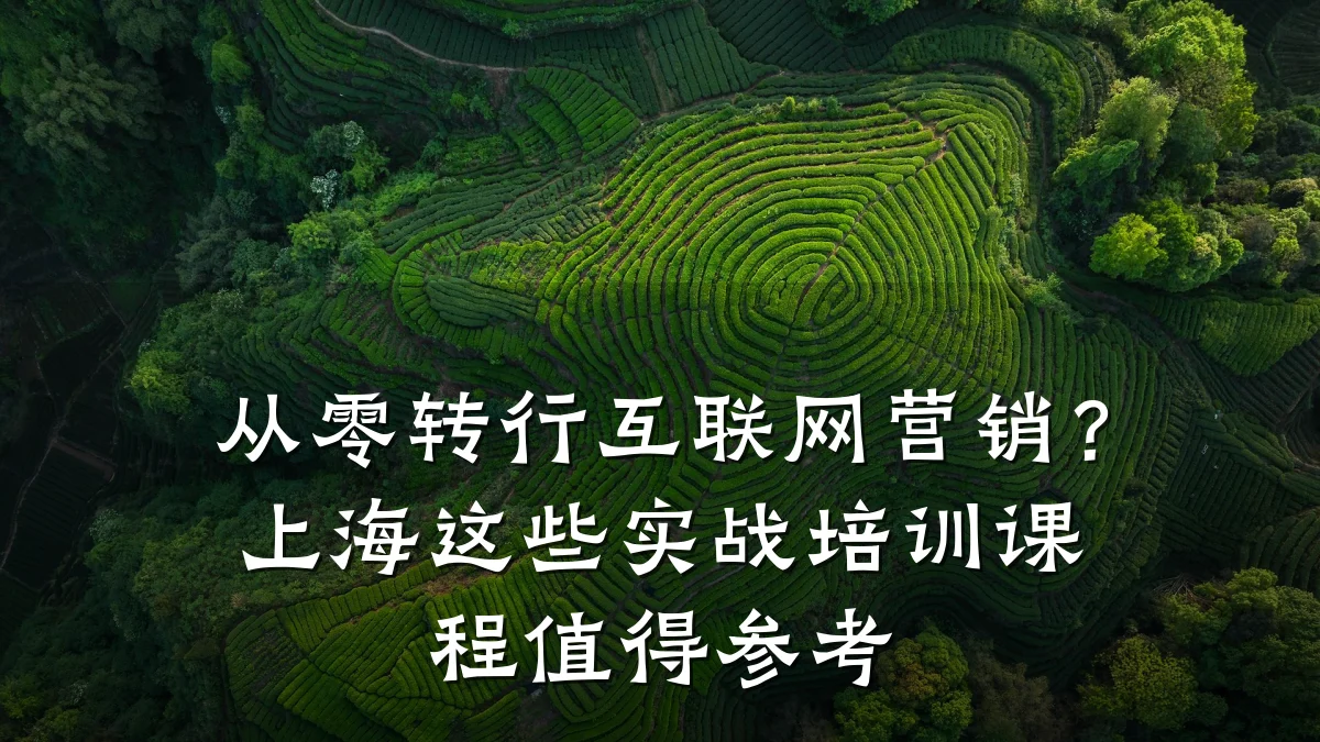 从零转行互联网营销?上海这些实战培训课程值得参考
