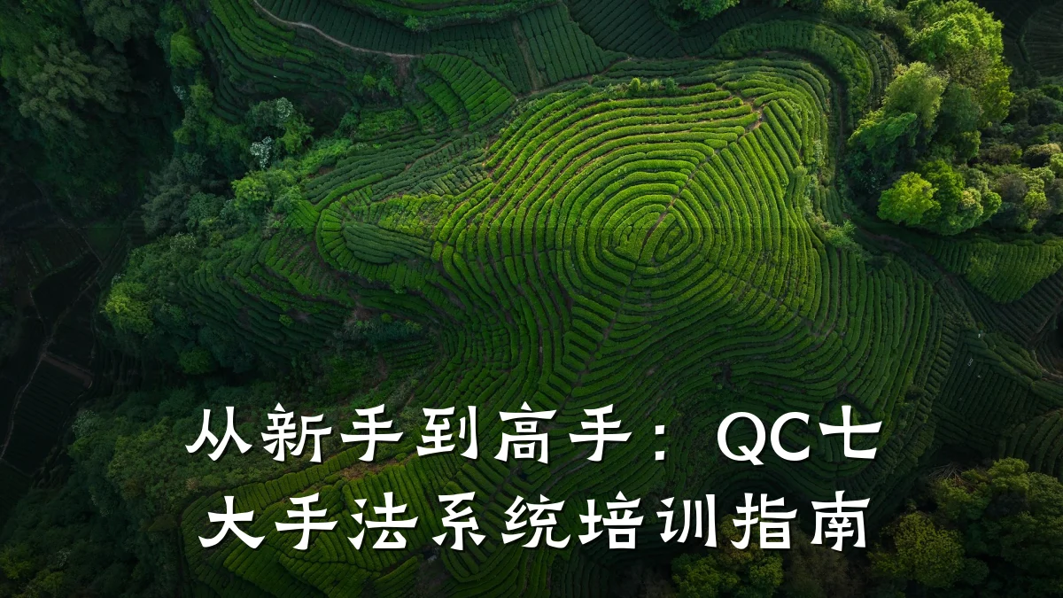 从新手到高手:QC七大手法系统培训指南