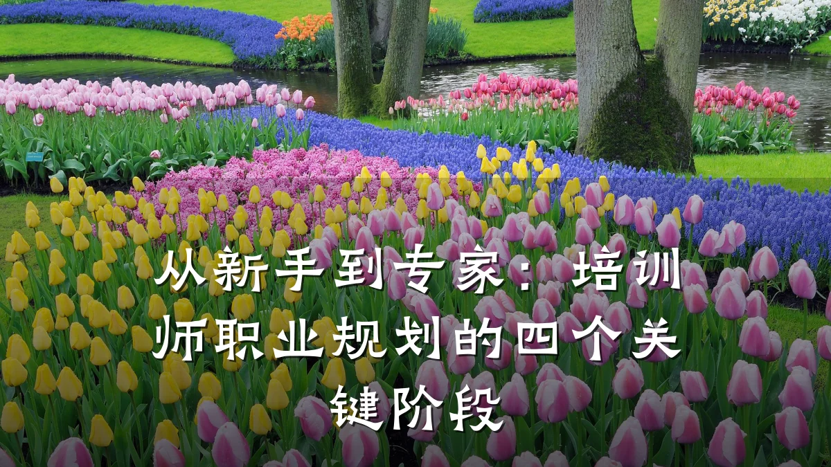 从新手到专家:培训师职业规划的四个关键阶段