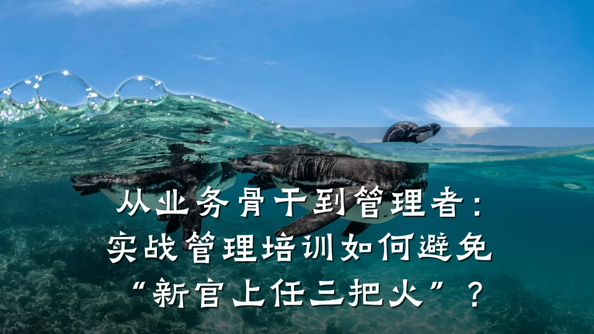 从业务骨干到管理者:实战管理培训如何避免“新官上任三把火”?