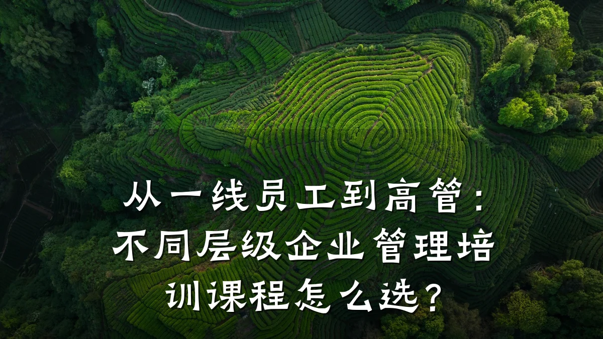 从一线员工到高管:不同层级企业管理培训课程怎么选?