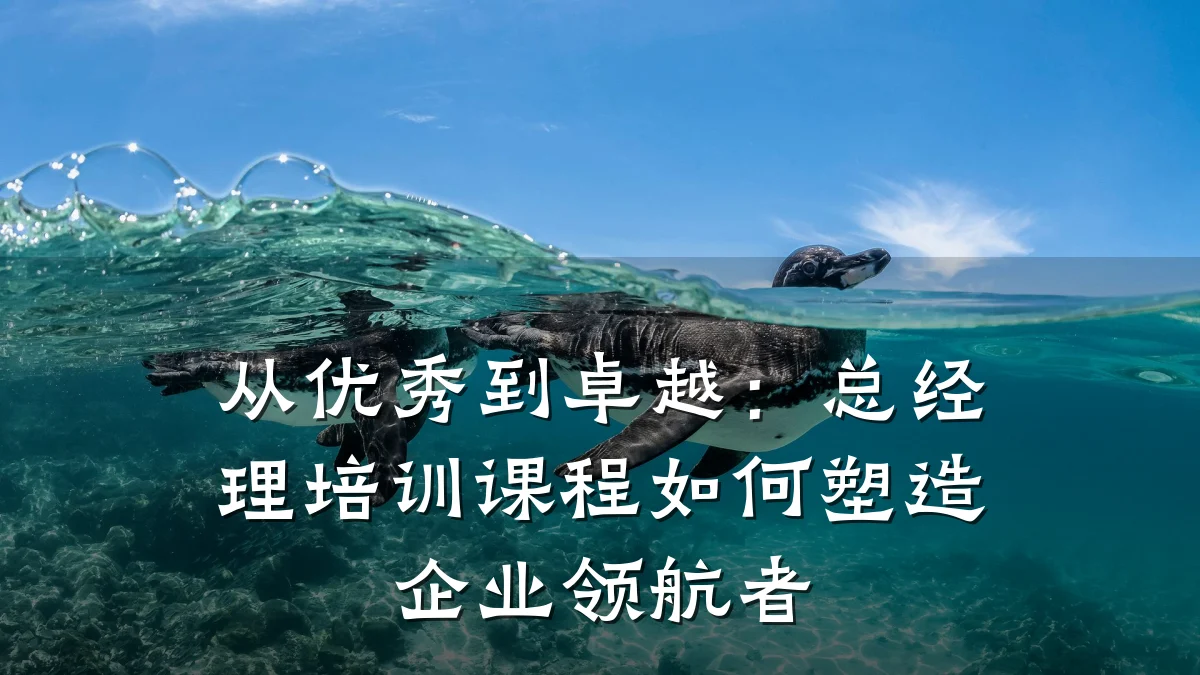 从优秀到卓越:总经理培训课程如何塑造企业领航者