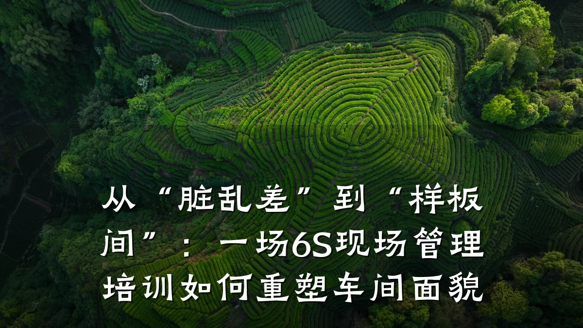 从“脏乱差”到“样板间”:一场6S现场管理培训如何重塑车间面貌