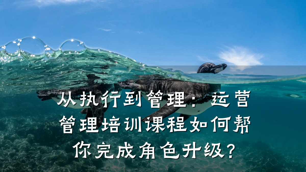 从执行到管理:运营管理培训课程如何帮你完成角色升级?