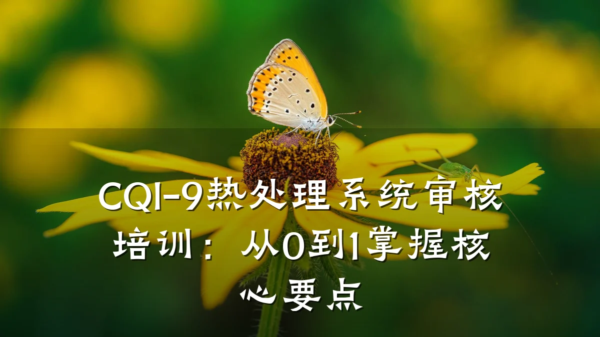 CQI-9热处理系统审核培训:从0到1掌握核心要点