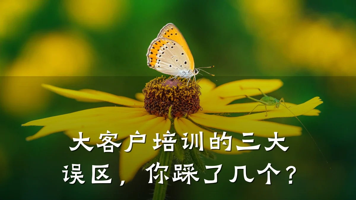 大客户培训的三大误区,你踩了几个?