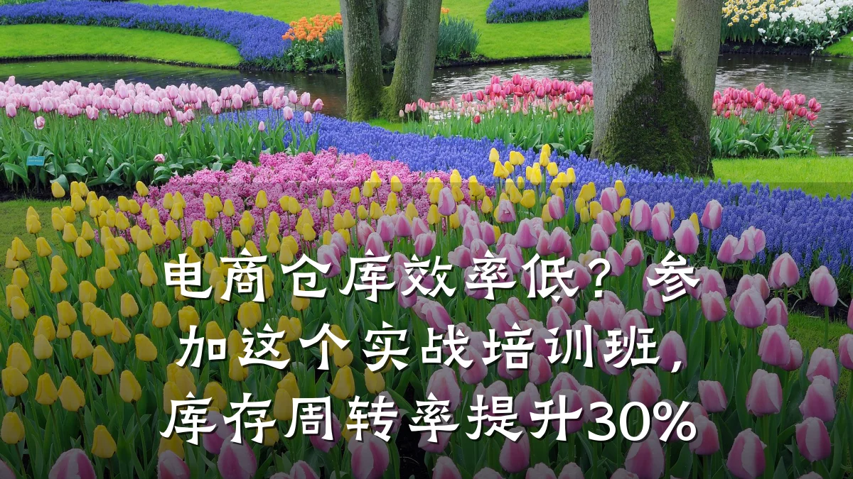 电商仓库效率低?参加这个实战培训班,库存周转率提升30%