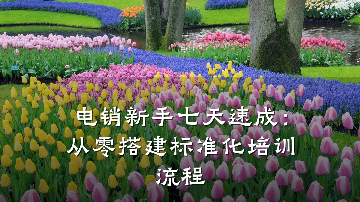 电销新手七天速成:从零搭建标准化培训流程