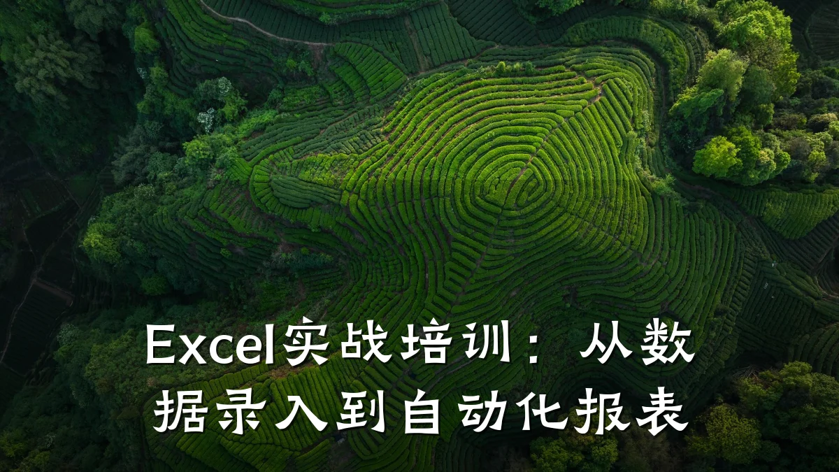 Excel实战培训:从数据录入到自动化报表