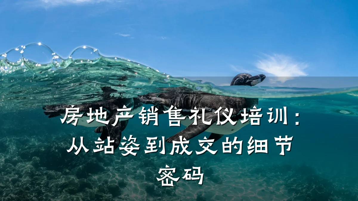 房地产销售礼仪培训:从站姿到成交的细节密码