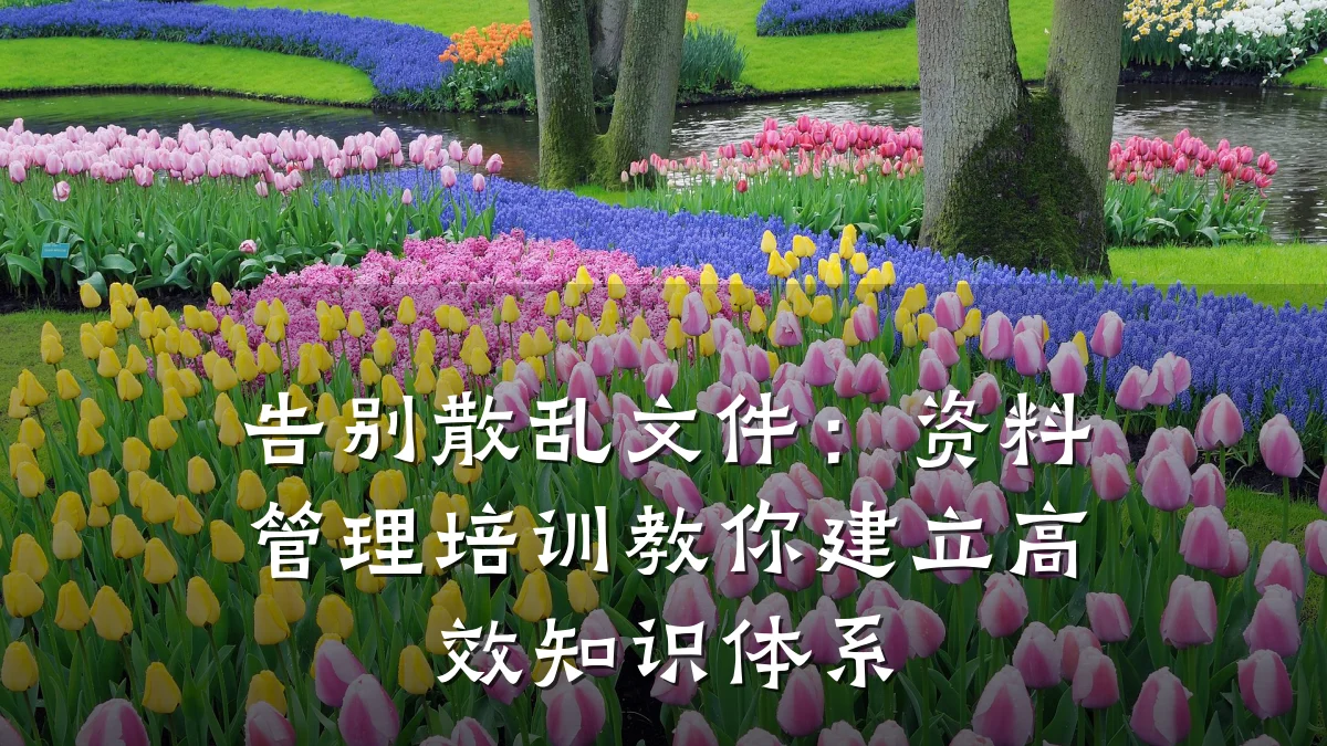 告别散乱文件:资料管理培训教你建立高效知识体系