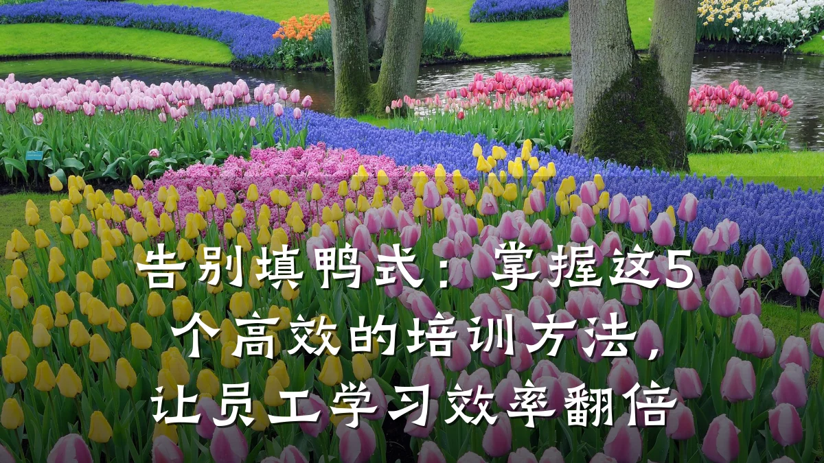 告别填鸭式:掌握这5个高效的培训方法,让员工学习效率翻倍