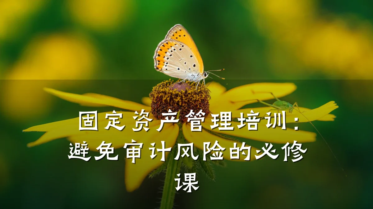 固定资产管理培训:避免审计风险的必修课