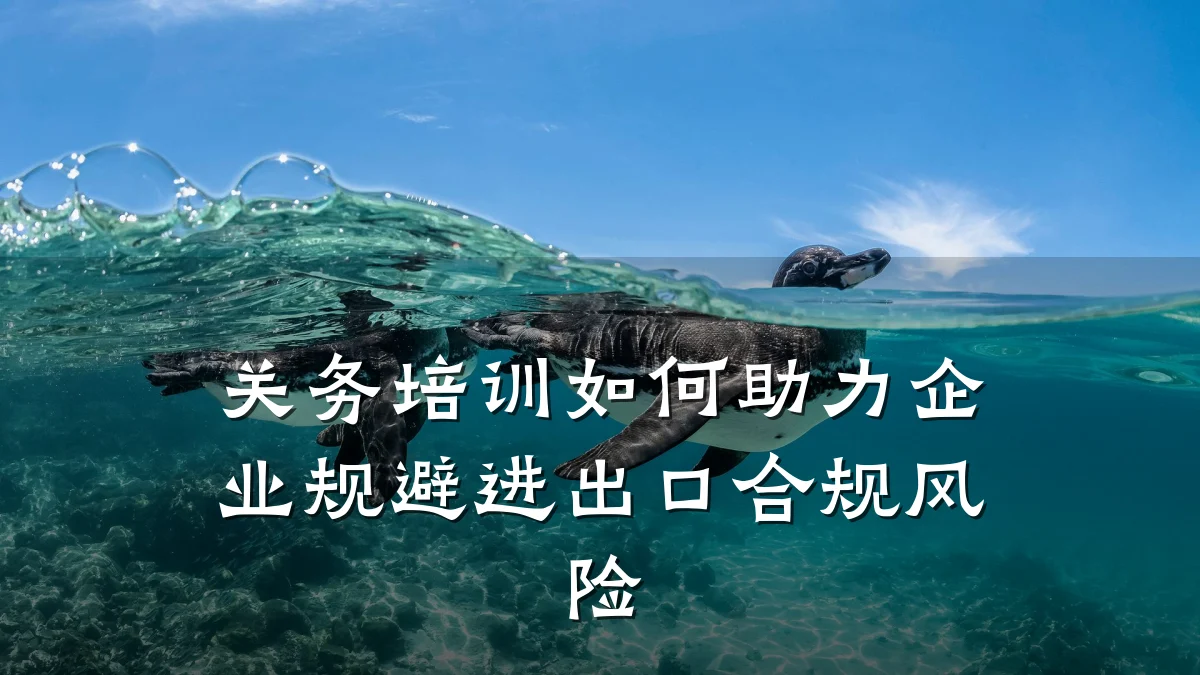 关务培训如何助力企业规避进出口合规风险