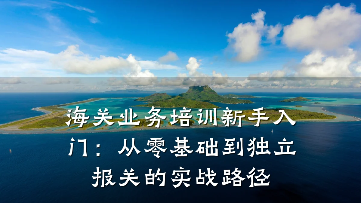 海关业务培训新手入门:从零基础到独立报关的实战路径