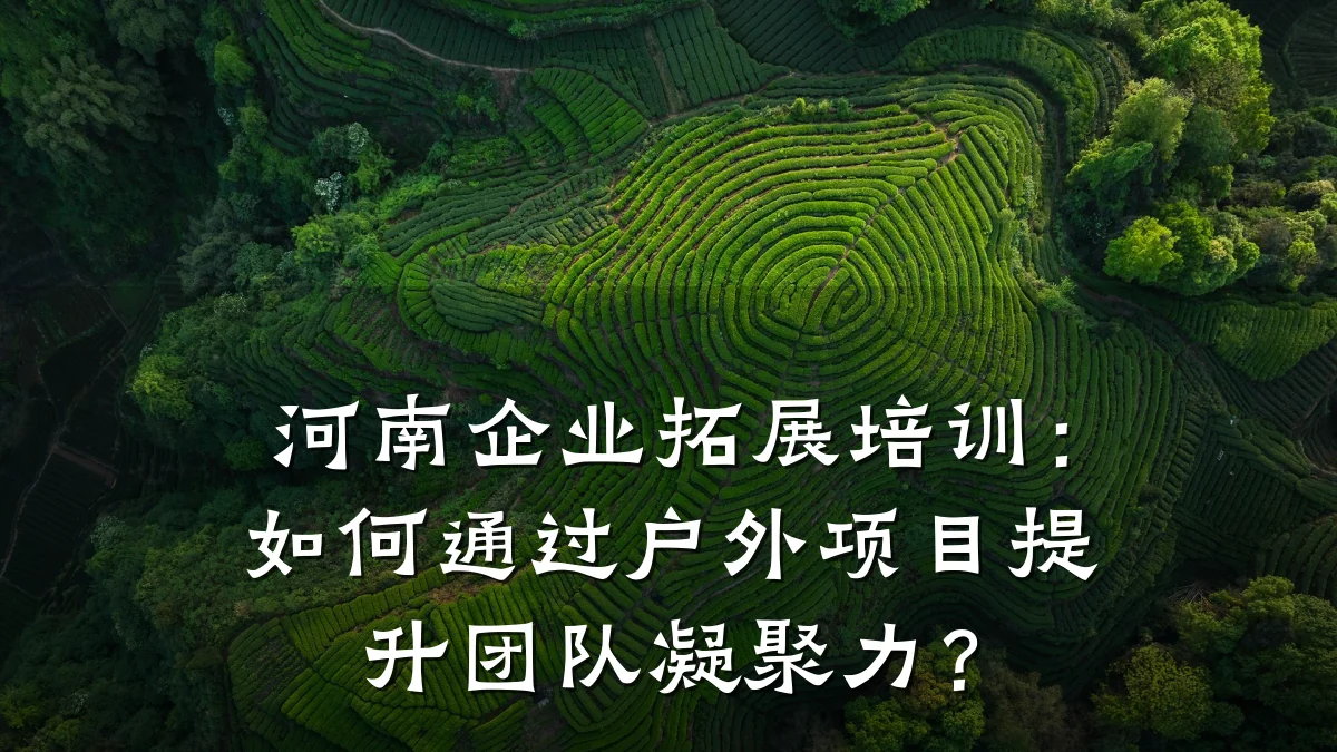 河南企业拓展培训:如何通过户外项目提升团队凝聚力?