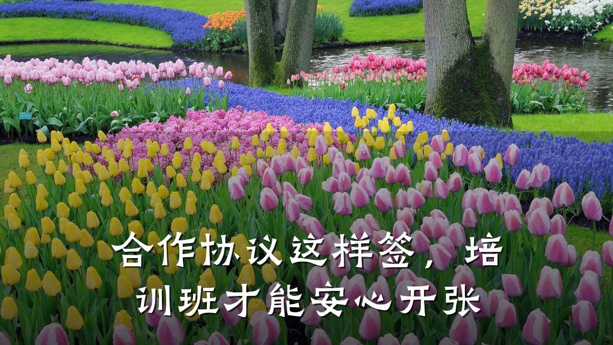 合作协议这样签,培训班才能安心开张