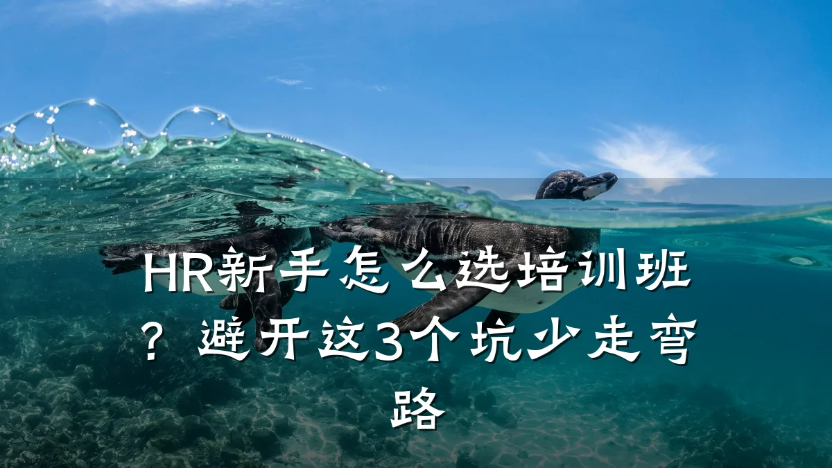 HR新手怎么选培训班?避开这3个坑少走弯路