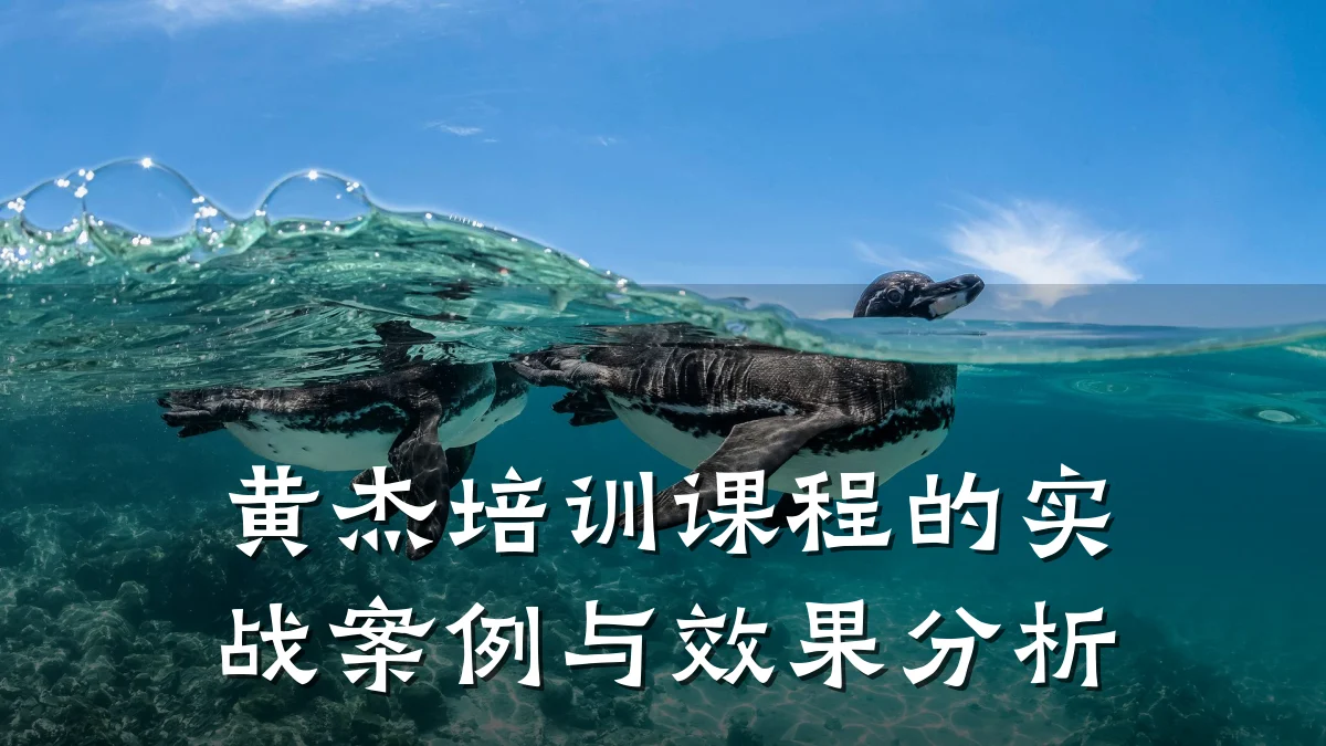 黄杰培训课程的实战案例与效果分析