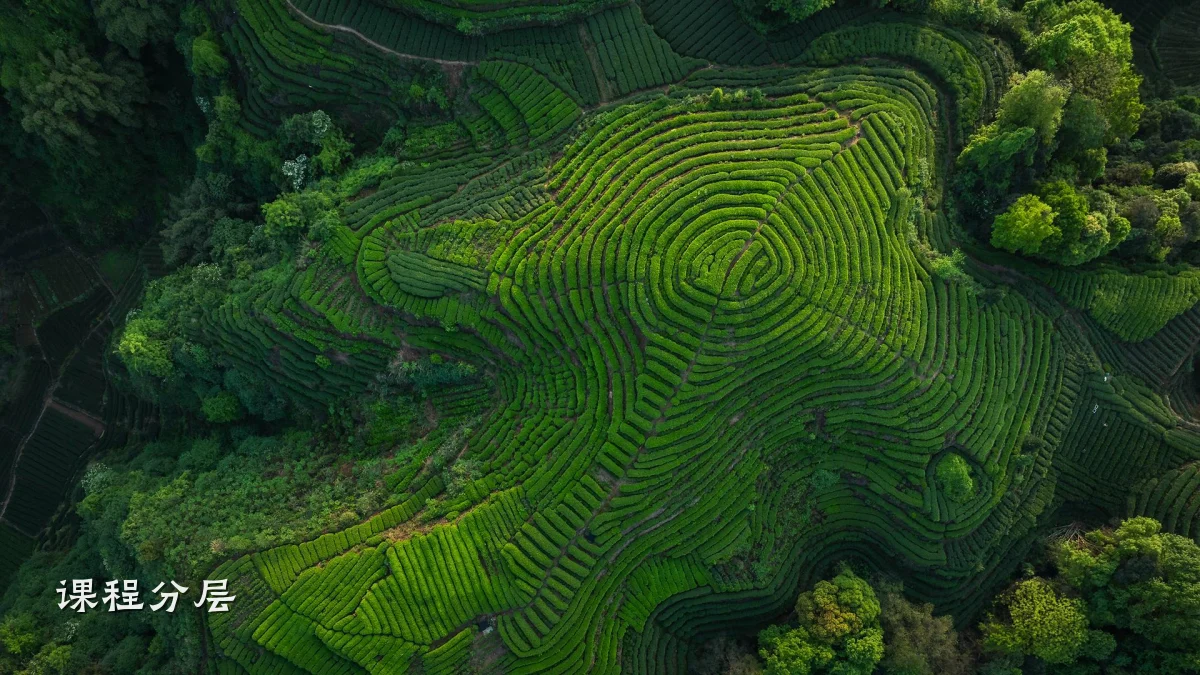 课程分层