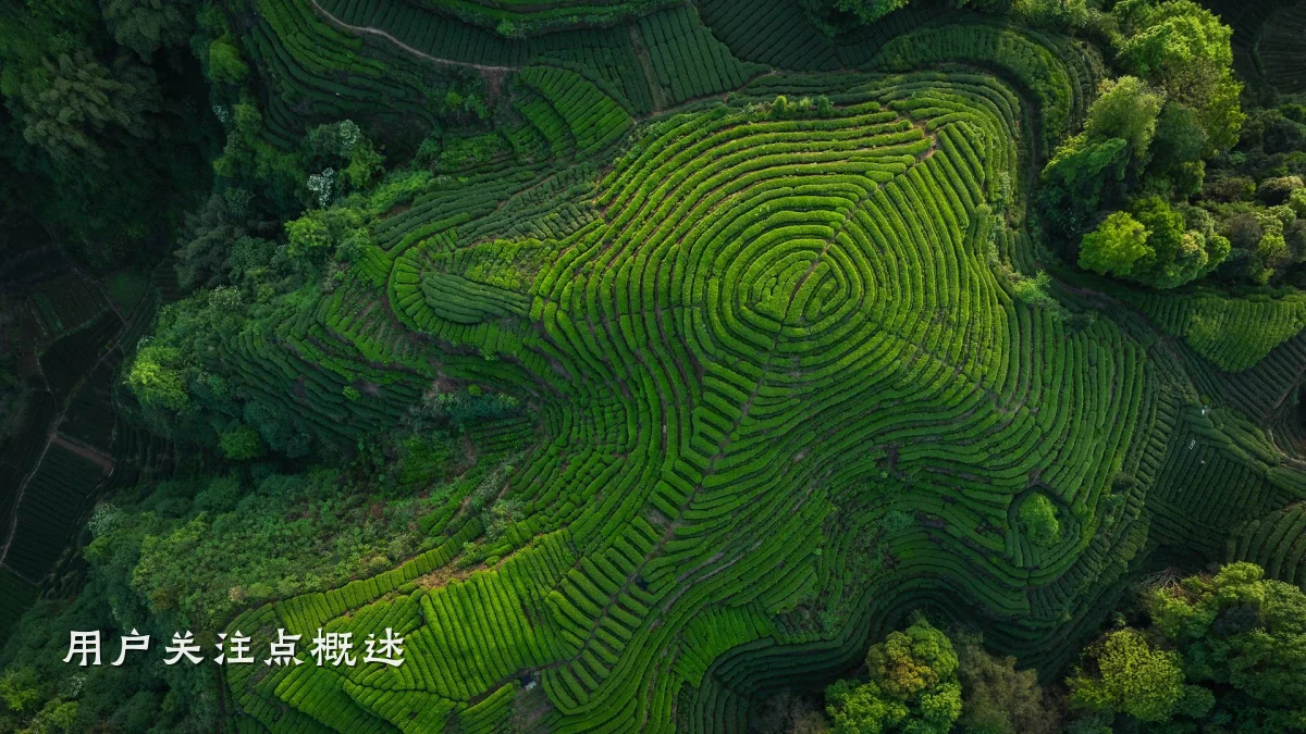 用户关注点概述