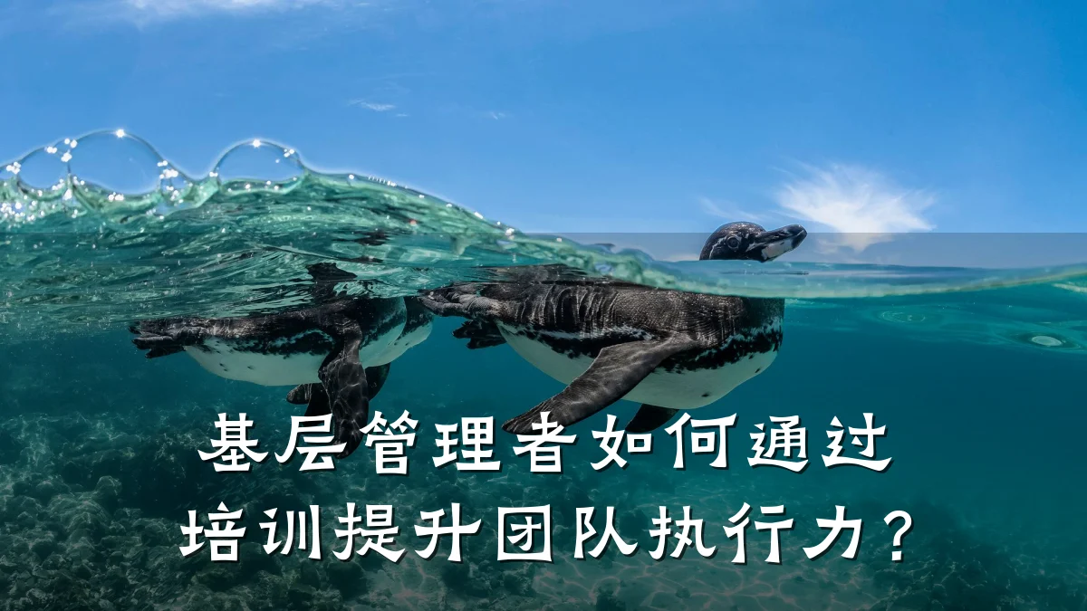 基层管理者如何通过培训提升团队执行力?