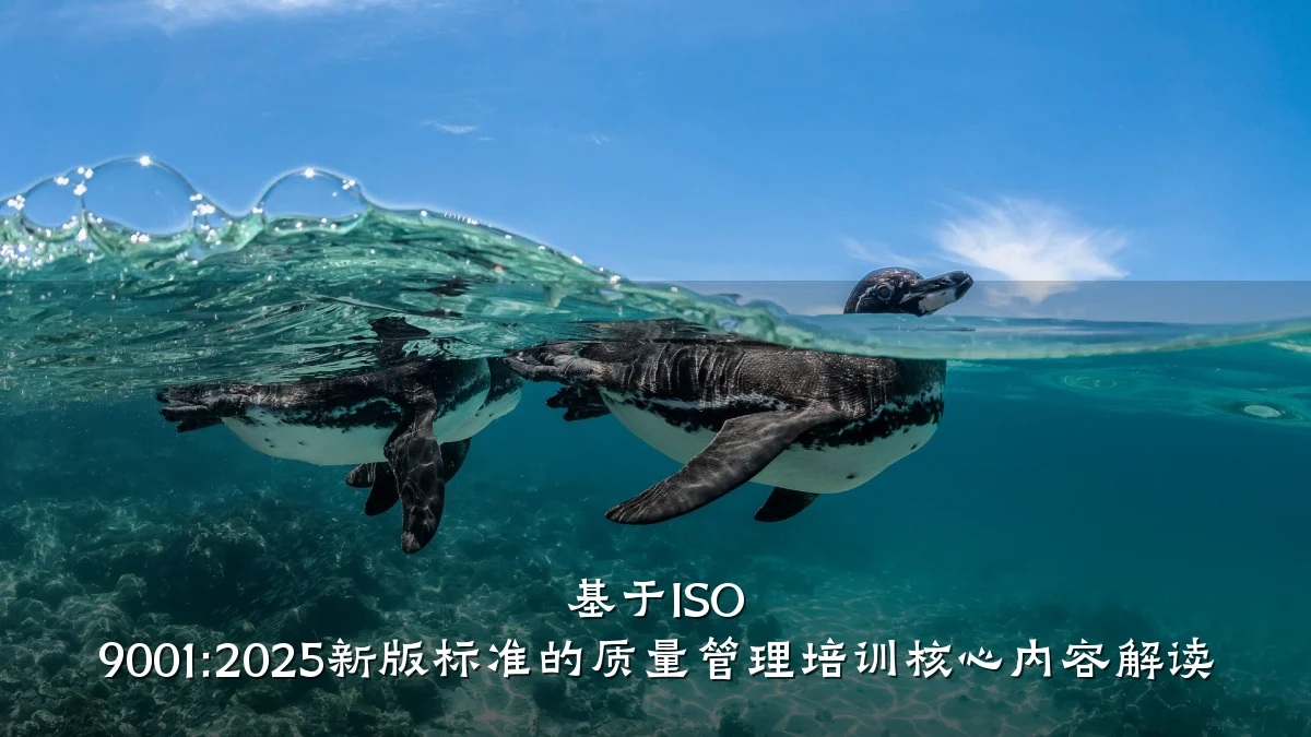 基于ISO 9001:2025新版标准的质量管理培训核心内容解读