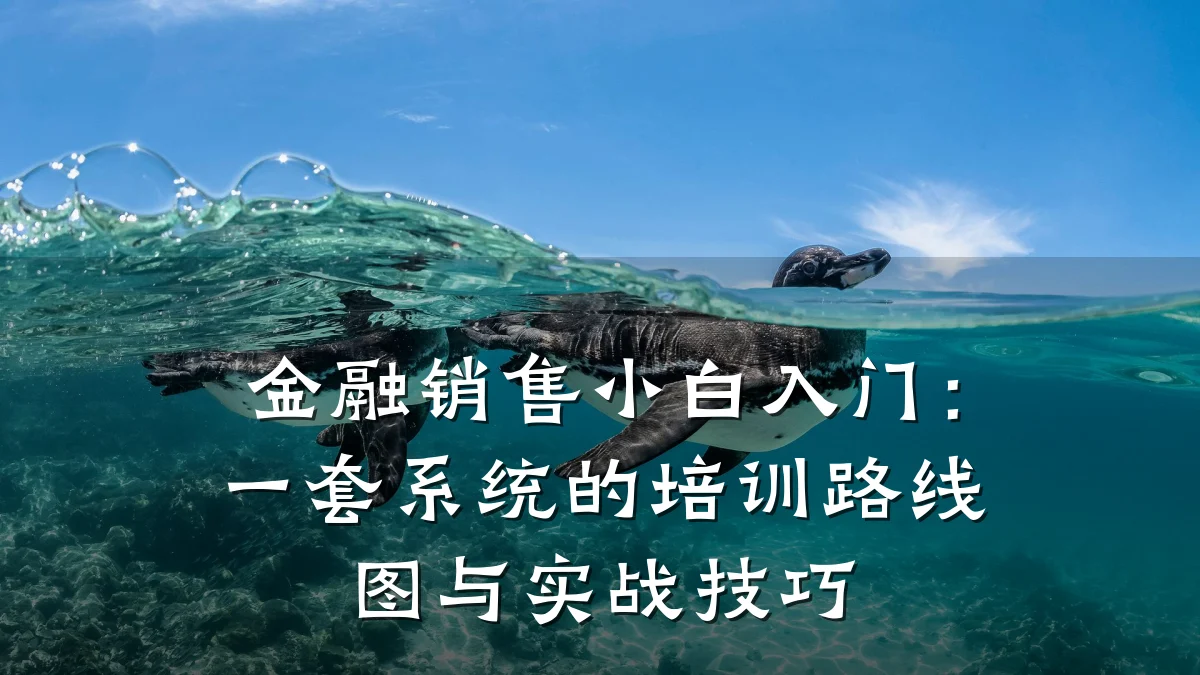 金融销售小白入门:一套系统的培训路线图与实战技巧