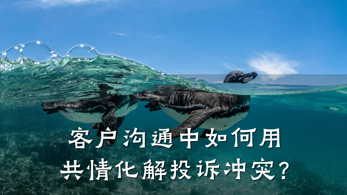 客户沟通中如何用共情化解投诉冲突？
