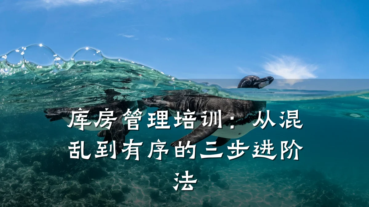 库房管理培训:从混乱到有序的三步进阶法
