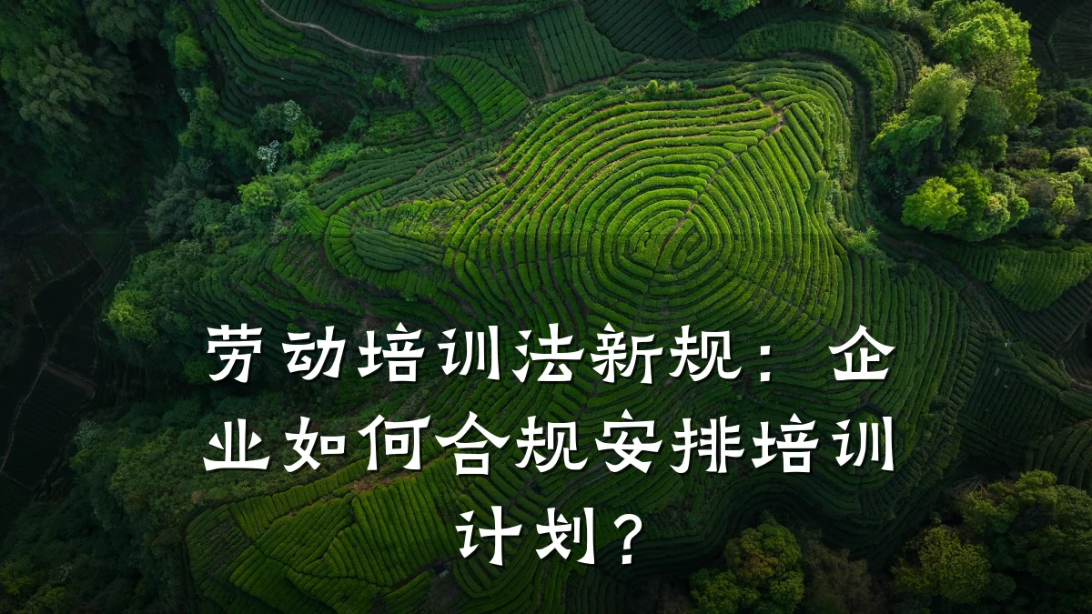 劳动培训法新规:企业如何合规安排培训计划?