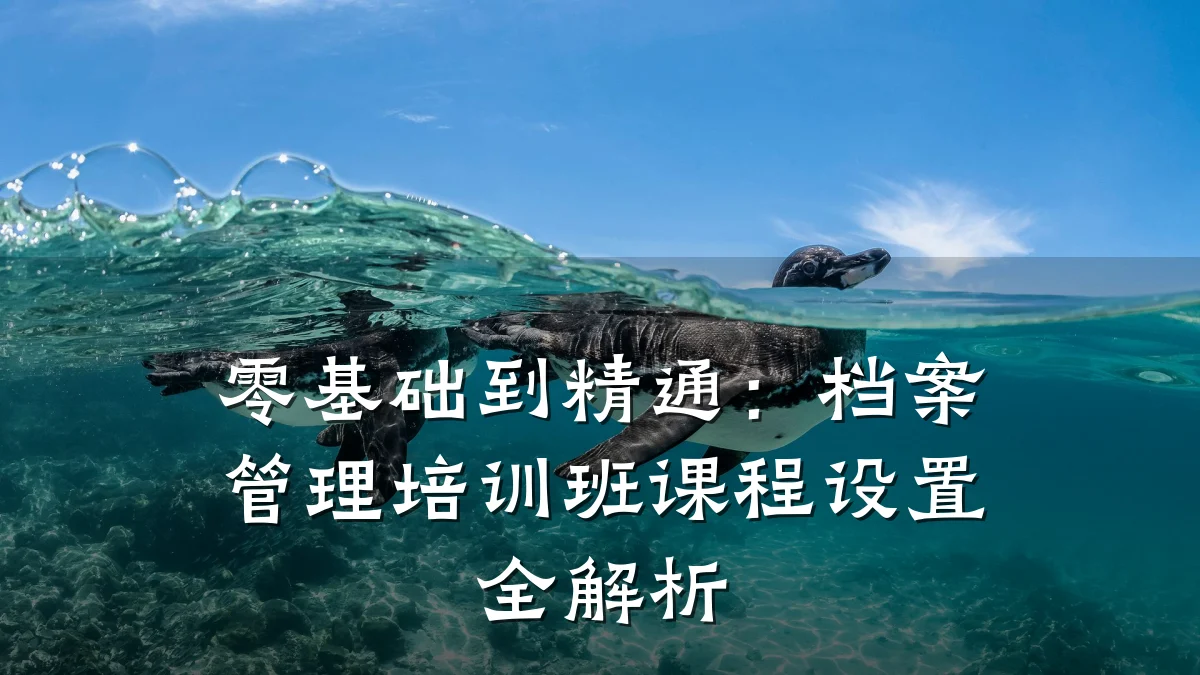零基础到精通:档案管理培训班课程设置全解析