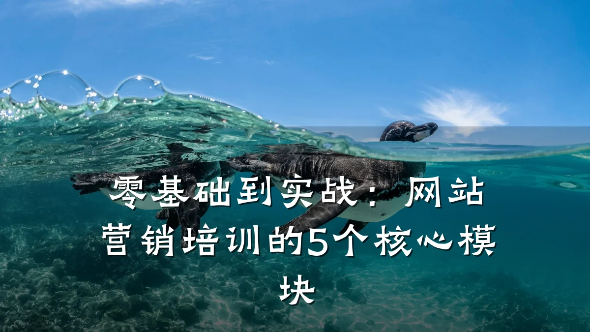 零基础到实战:网站营销培训的5个核心模块