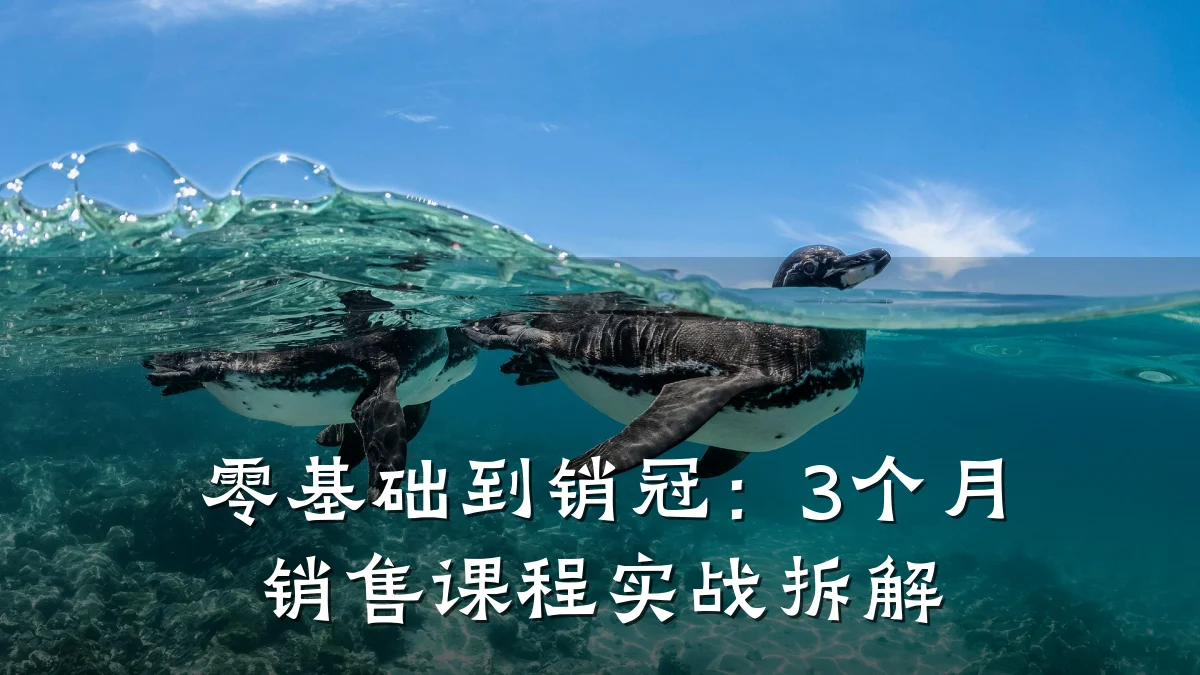 零基础到销冠:3个月销售课程实战拆解