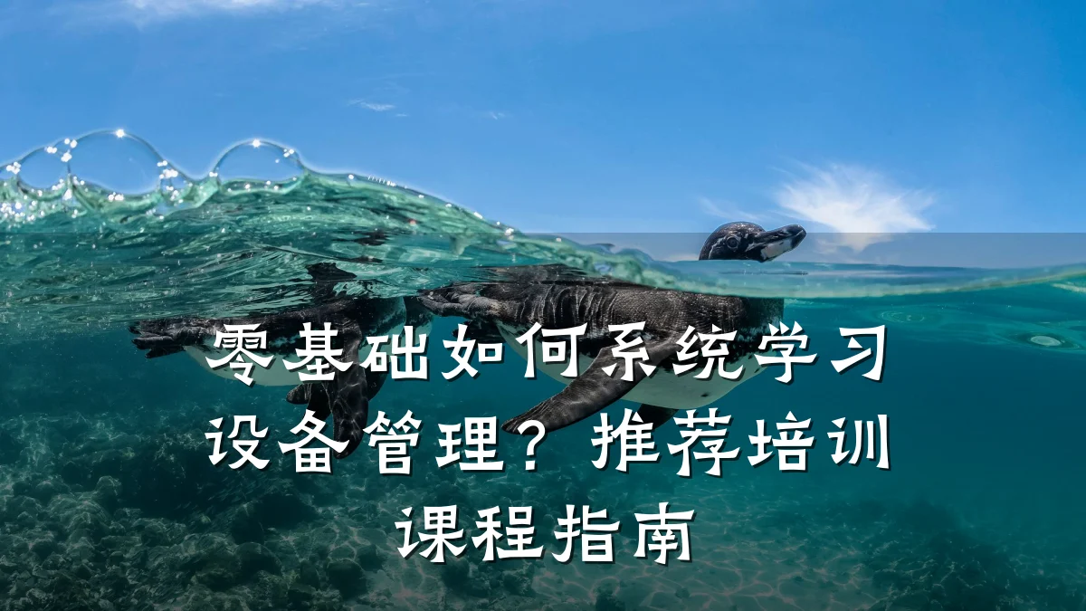 零基础如何系统学习设备管理?推荐培训课程指南