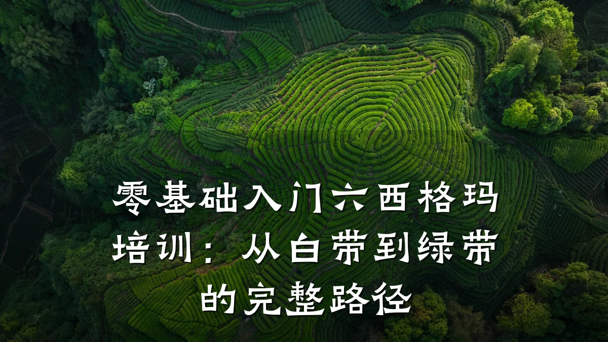 零基础入门六西格玛培训:从白带到绿带的完整路径